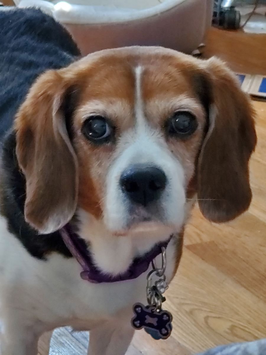 Zoey