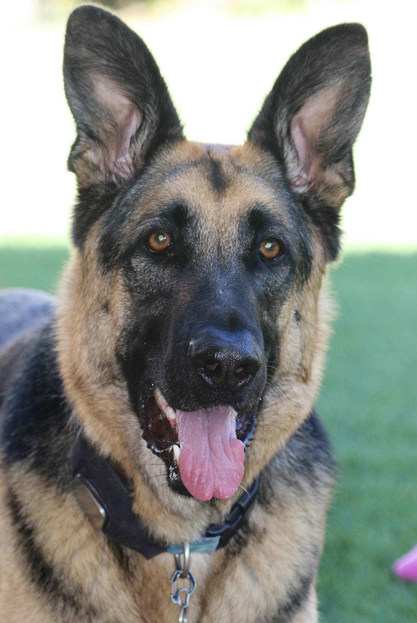 Jäger (Pronounced Yaeger)