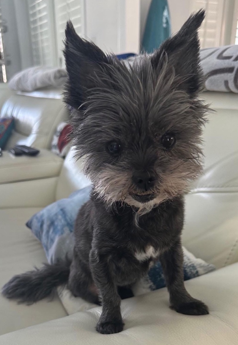 Gigi