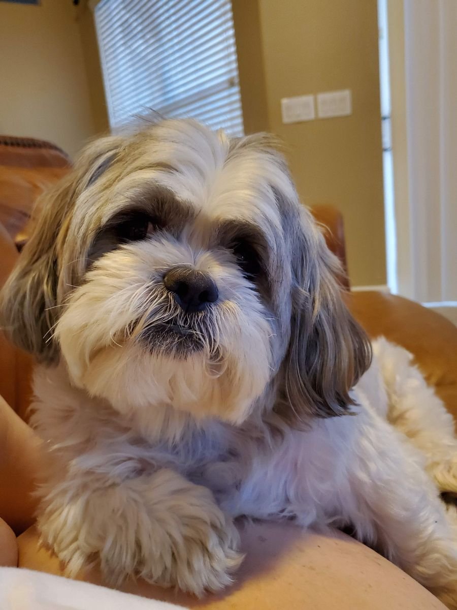 Sammy