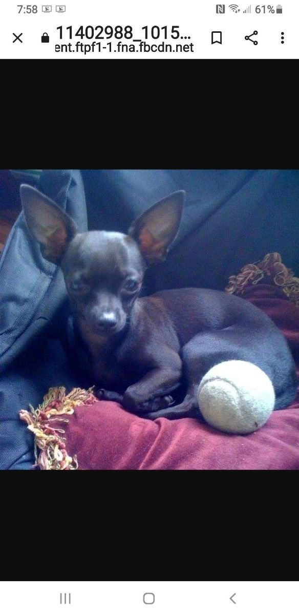 PRECIOUS  Baby