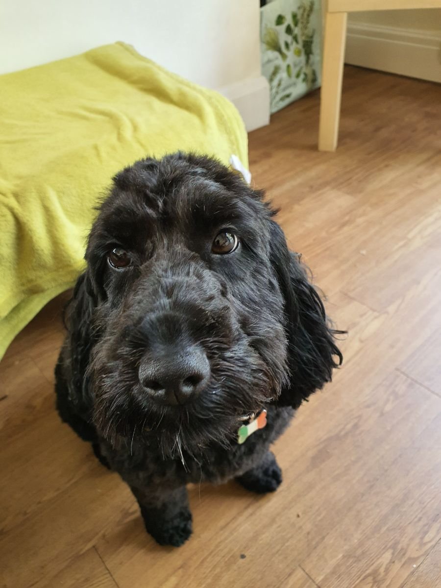 Charlie