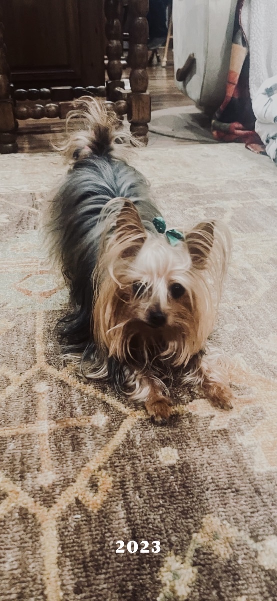 Bella