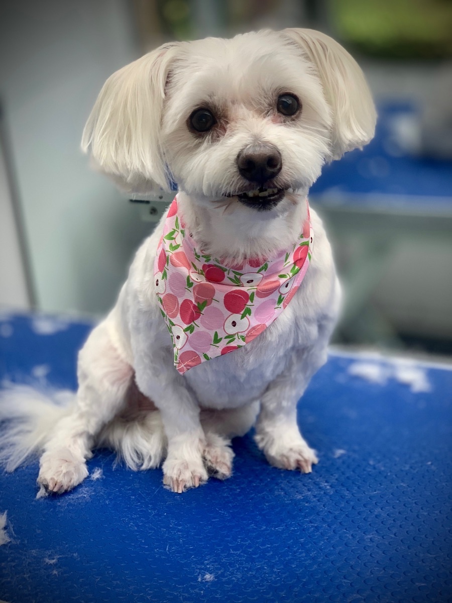 Chloe