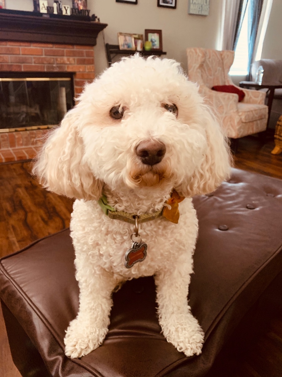 Coco