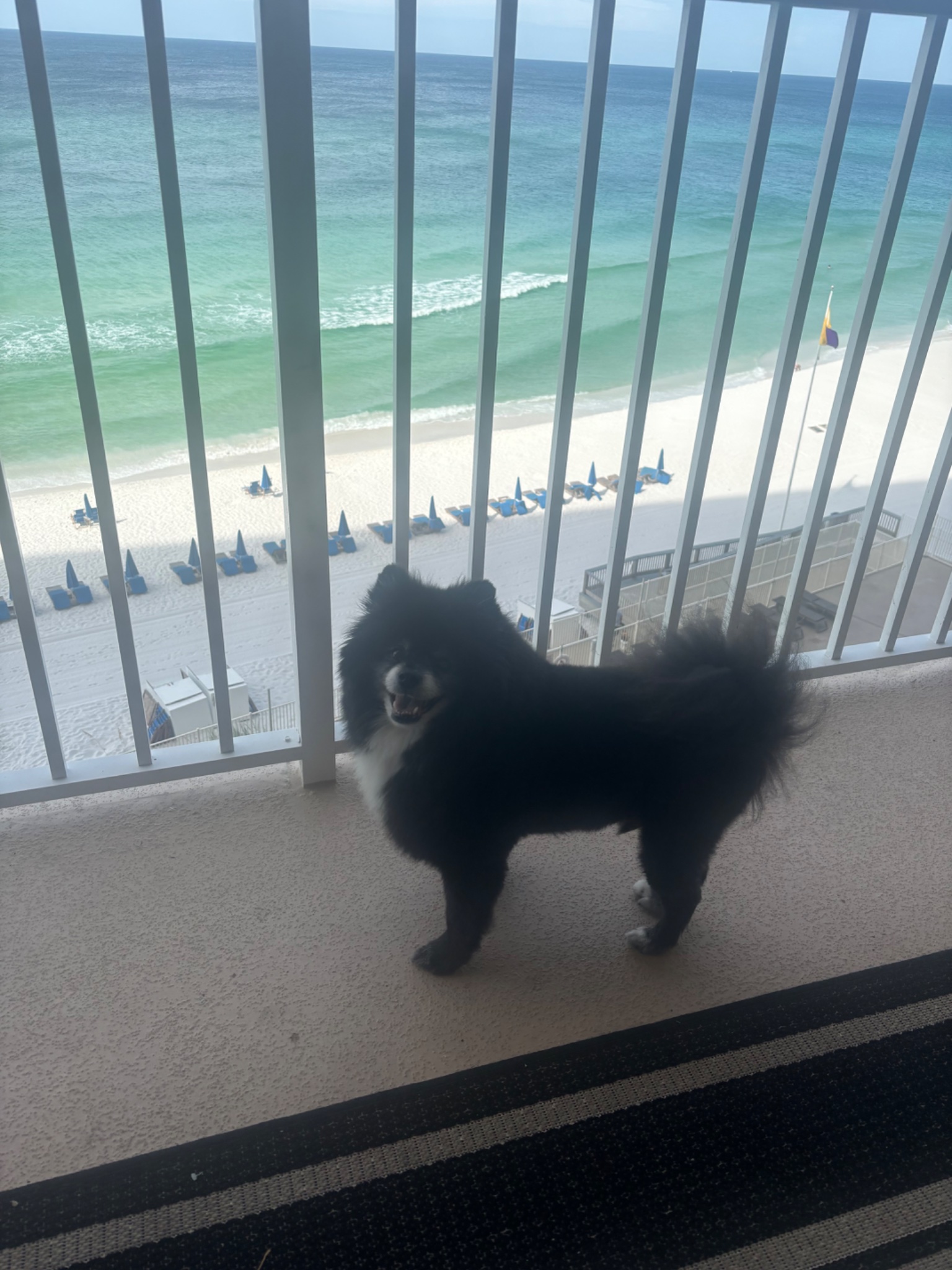 Tux