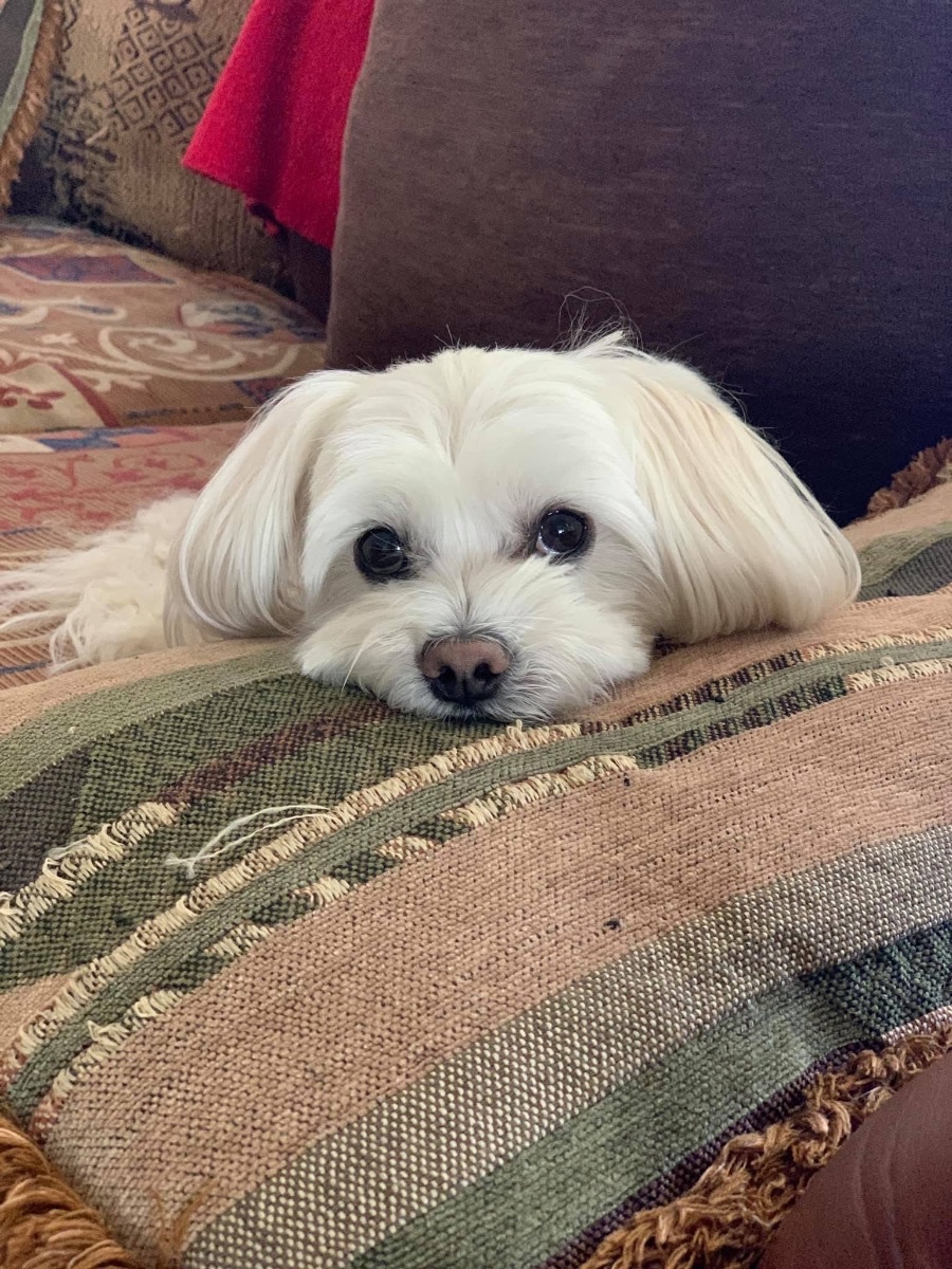 Sookie