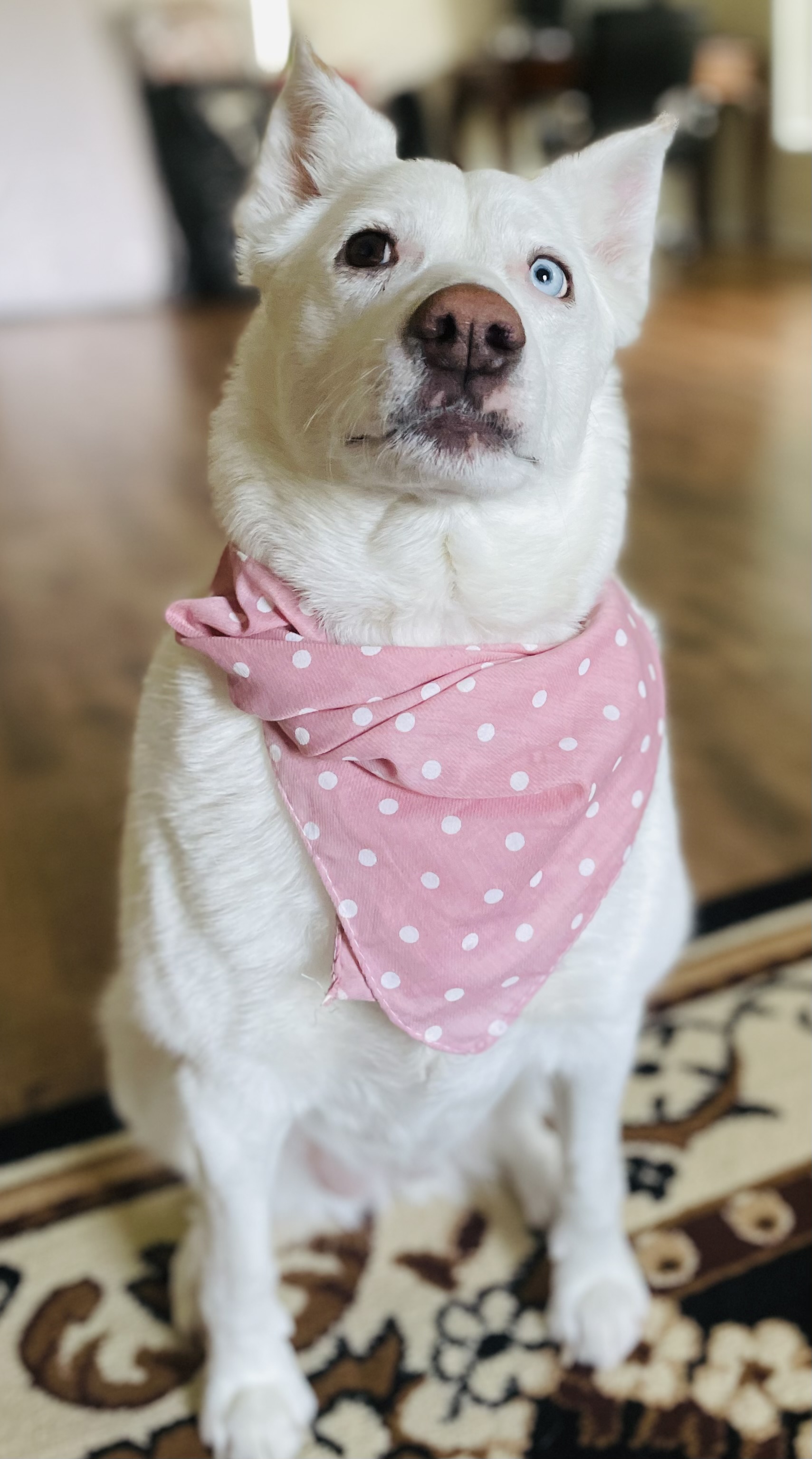 Yuki