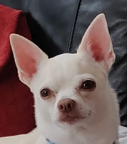Prince