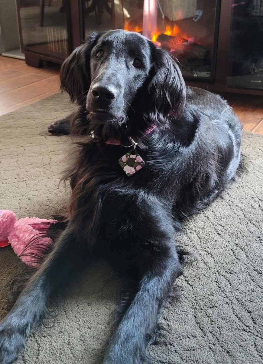 Bella