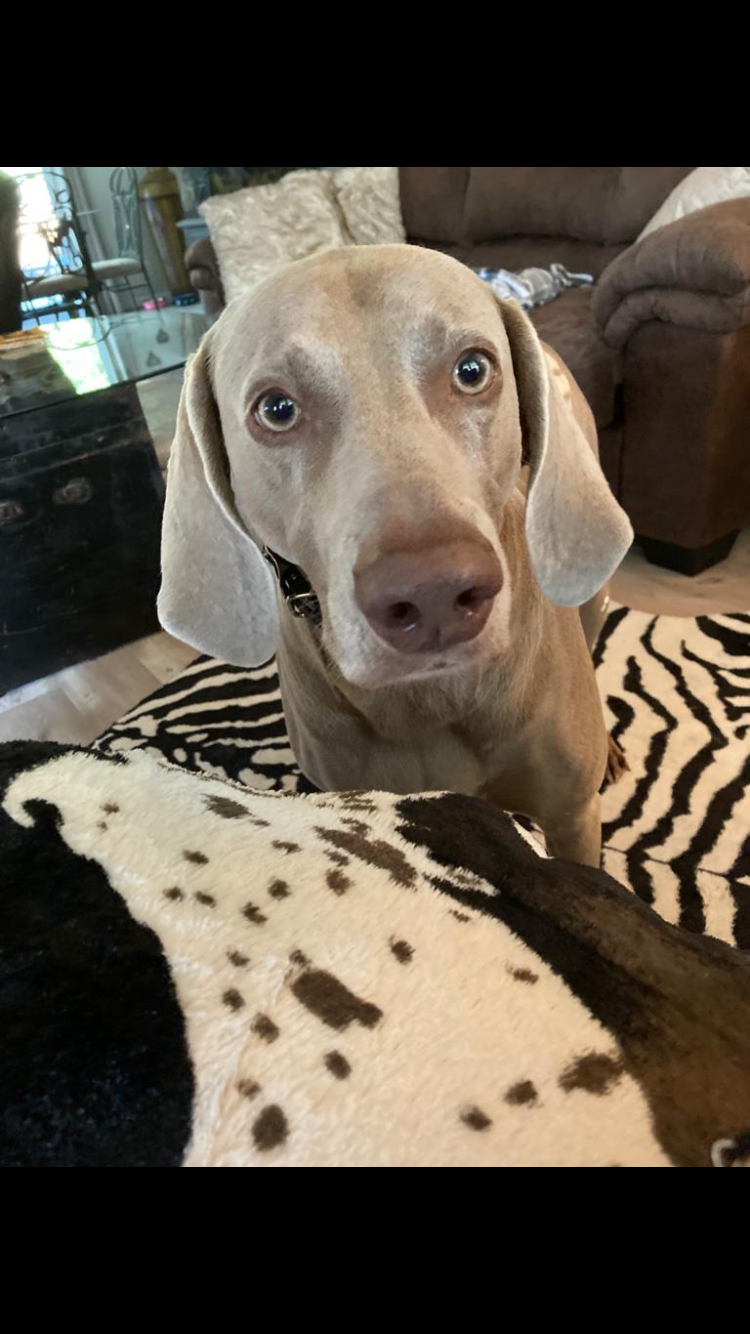 Abby 