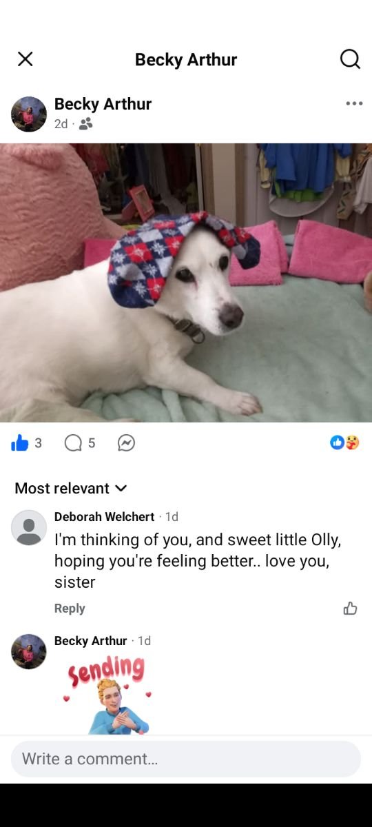 Olly