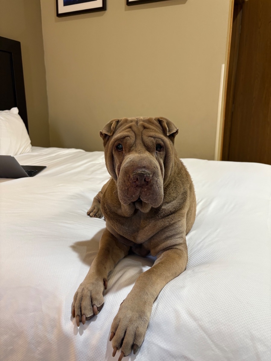 Bentley
