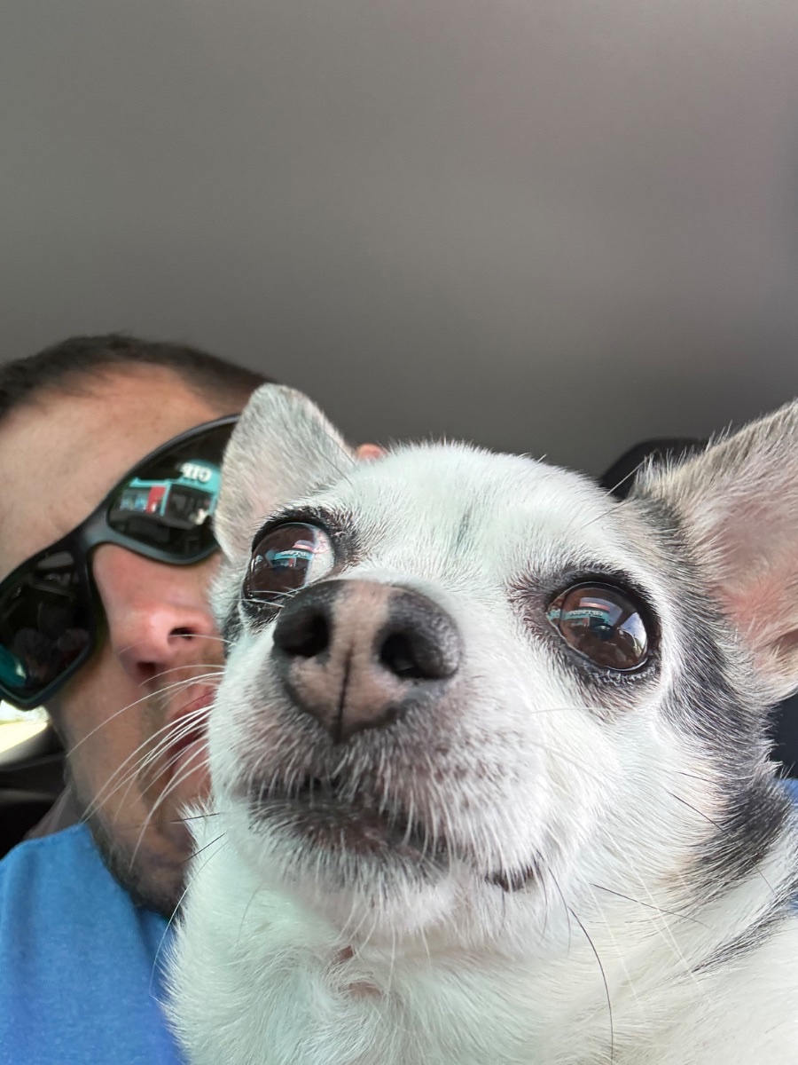 Chico