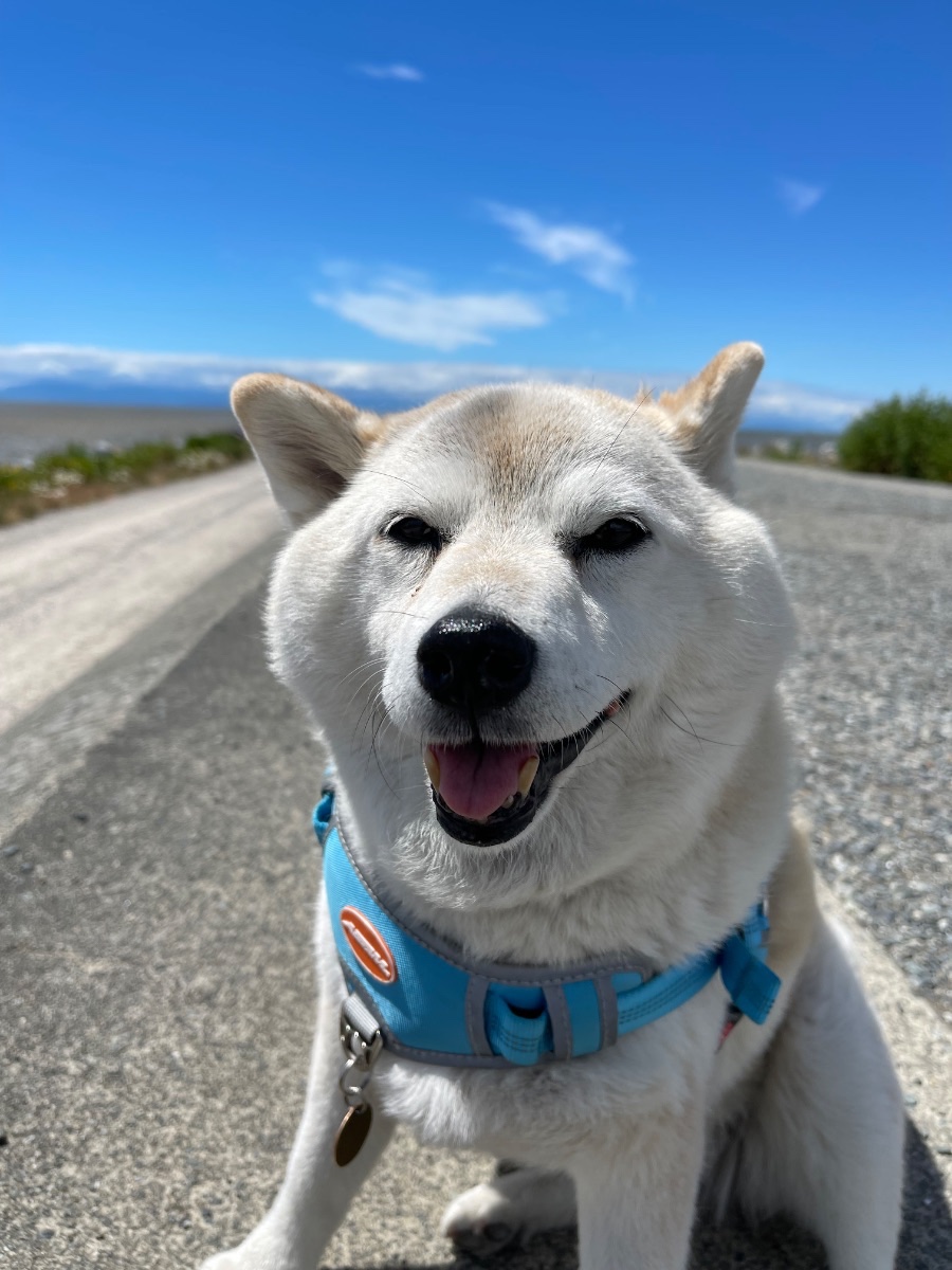 Hana