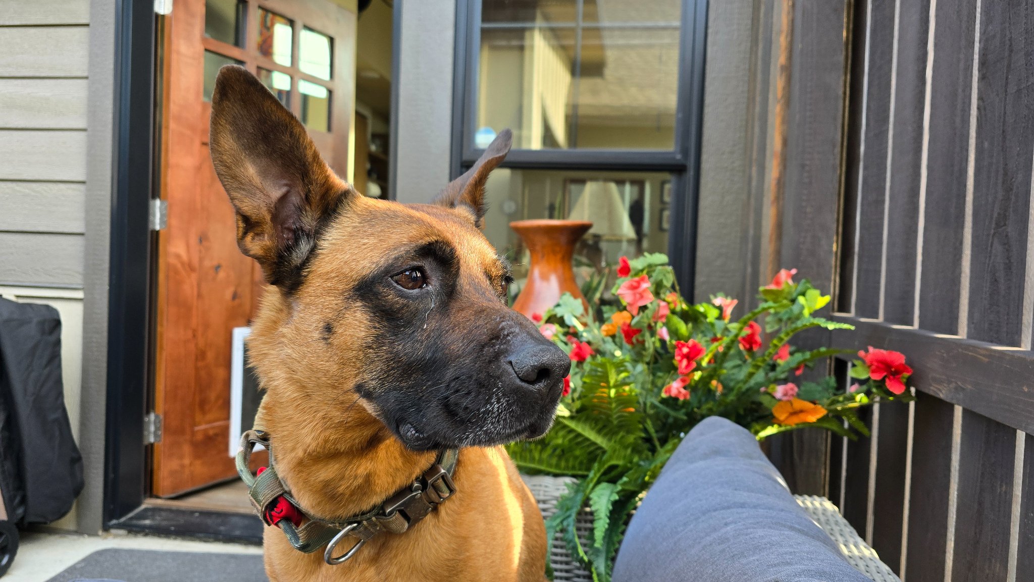 Ranger