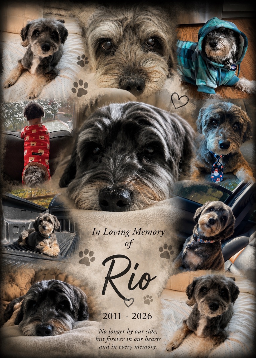 Rio