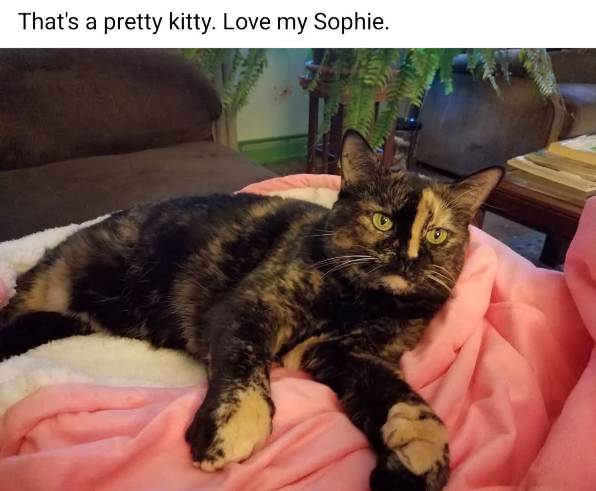 Sophie