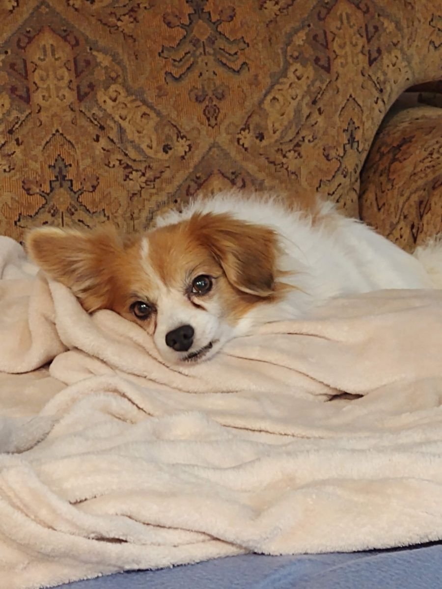 Charlie