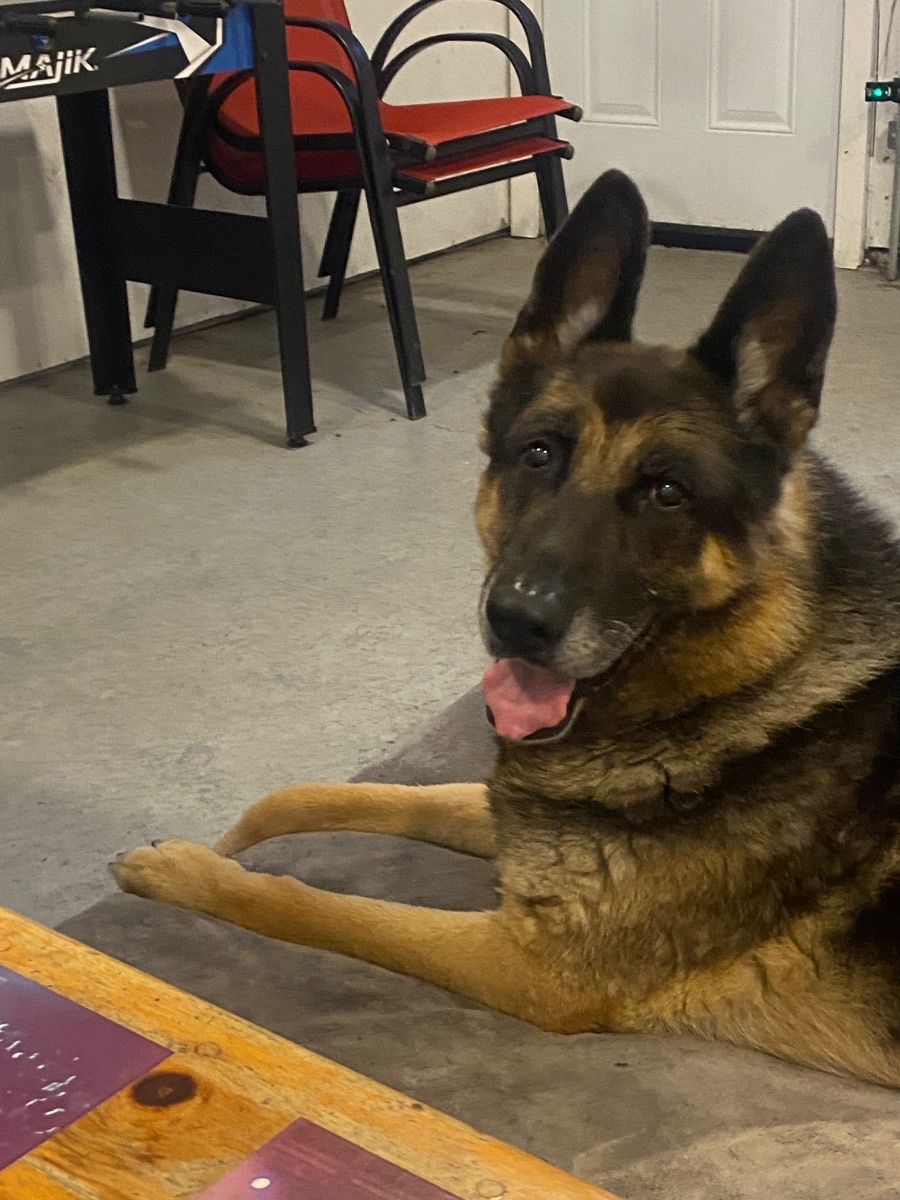 Sam