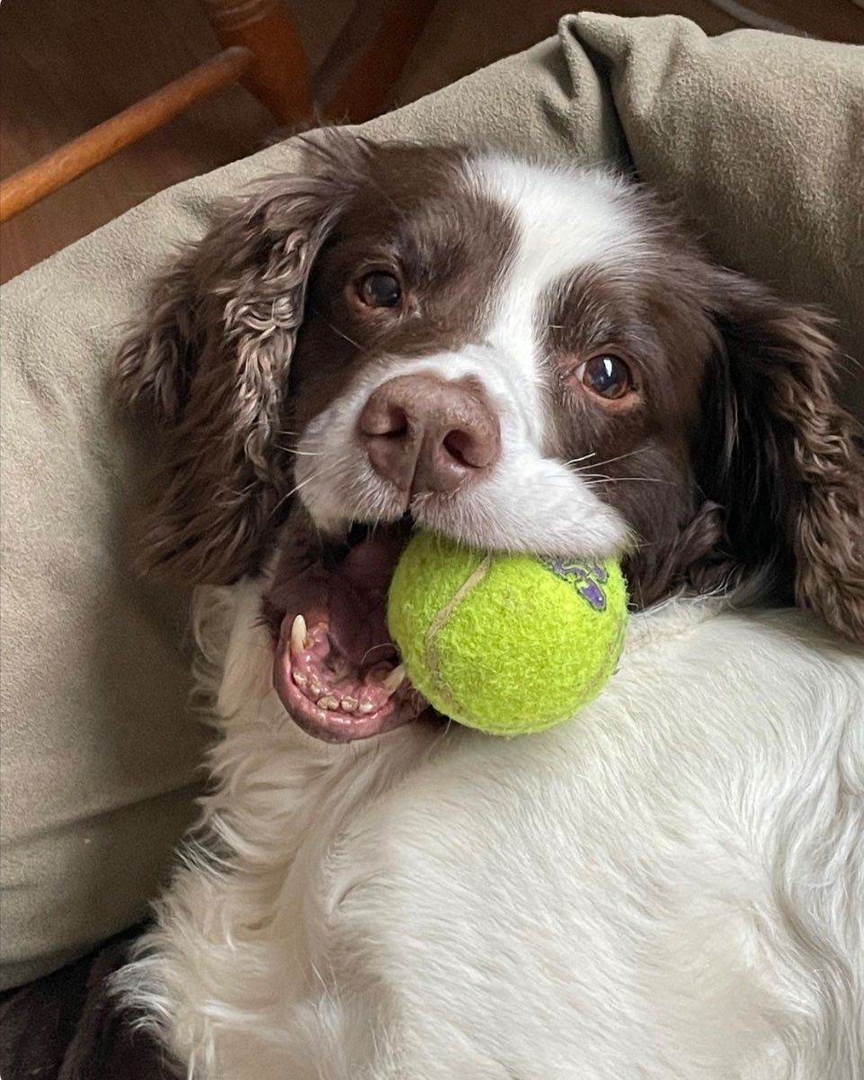 Flynn