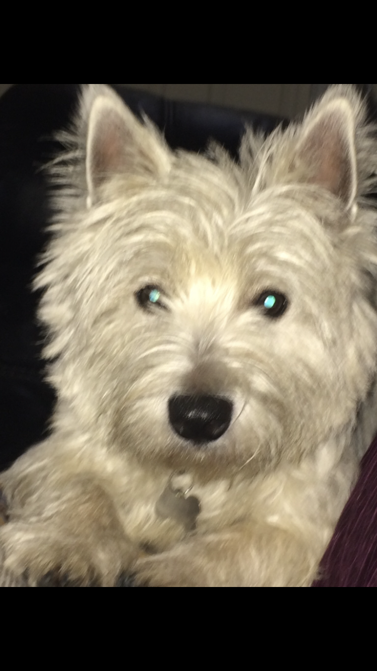Casper 