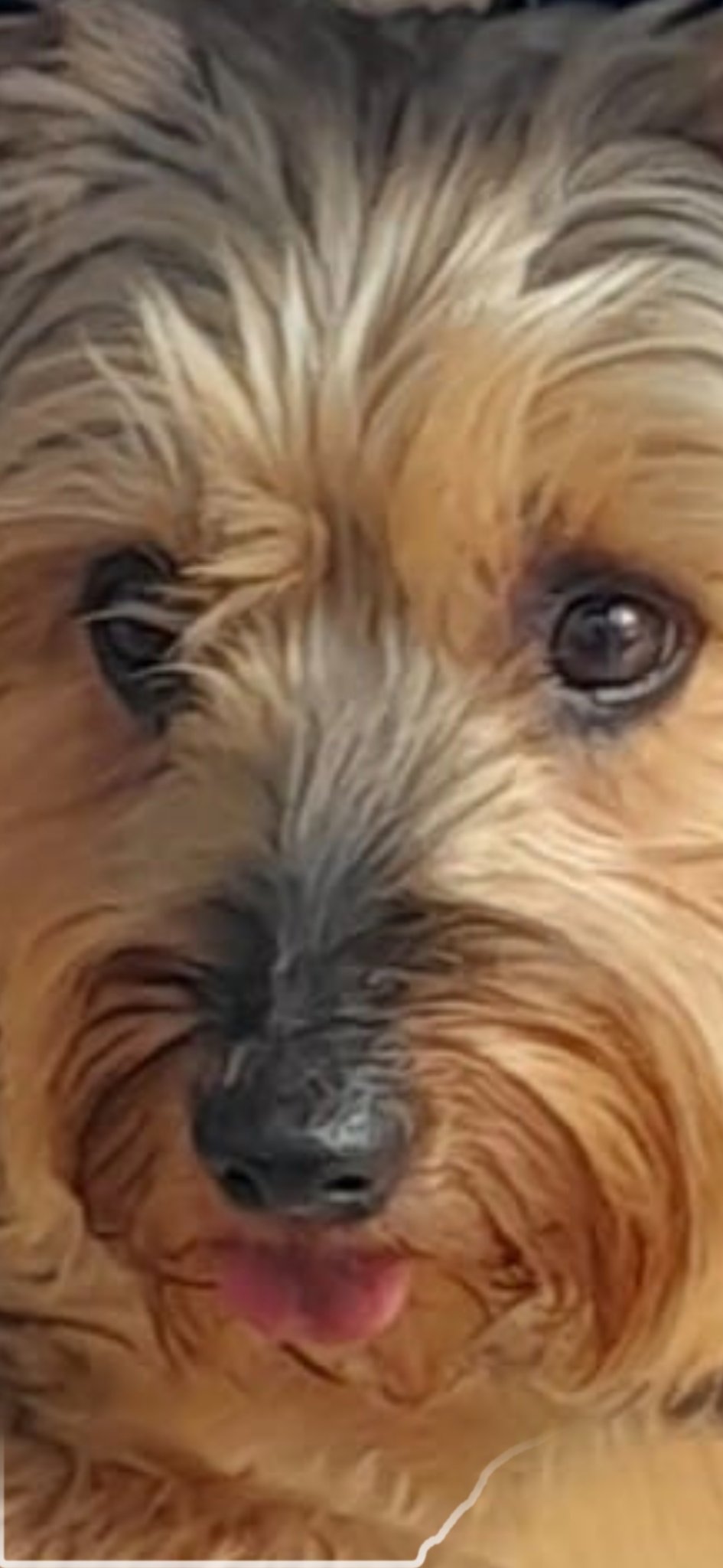 Baxter