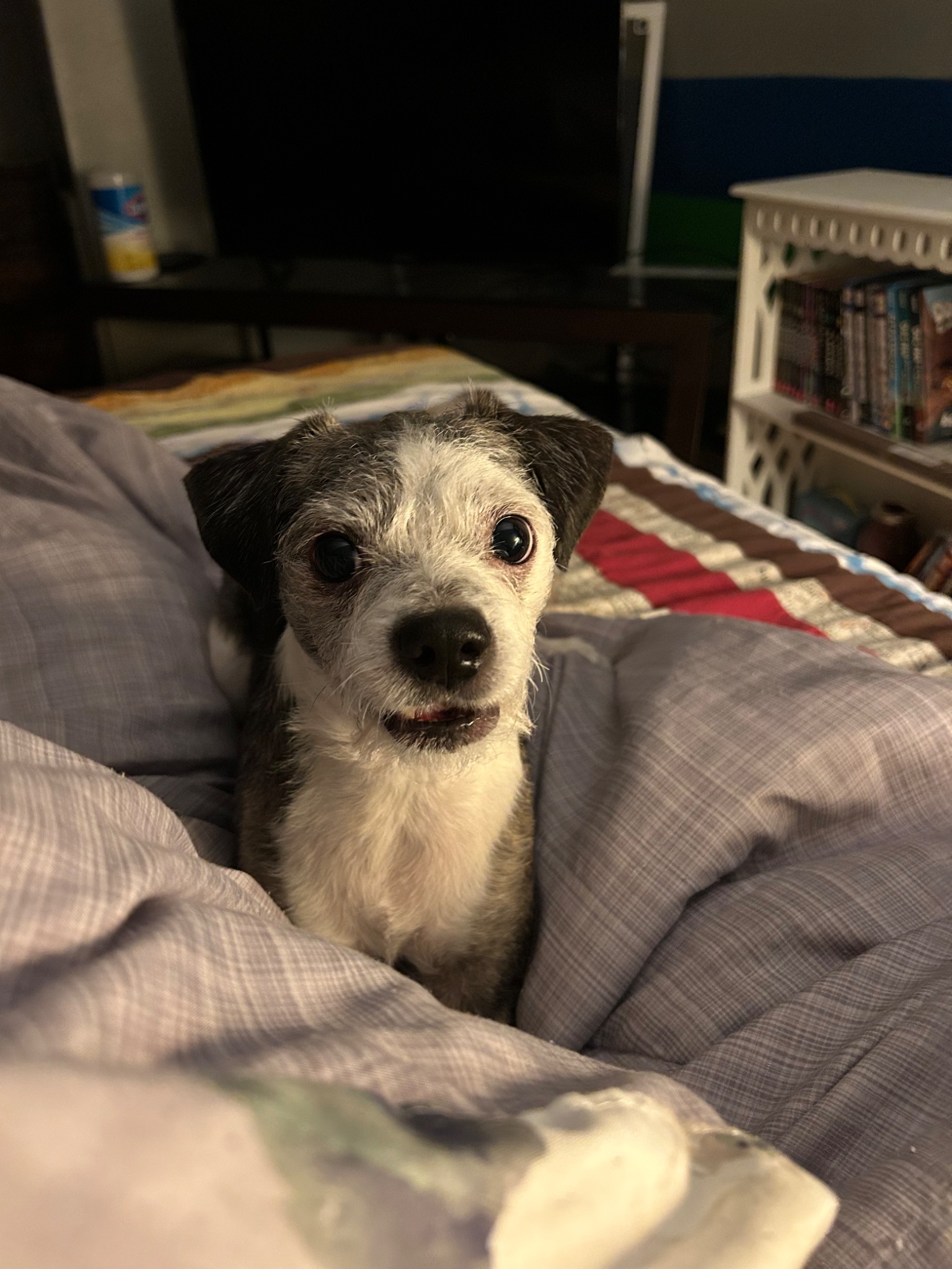 Cooper