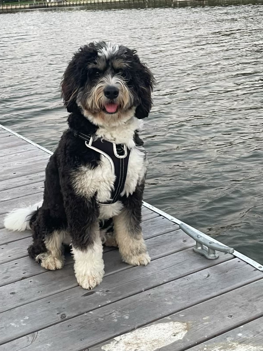 Murphy 