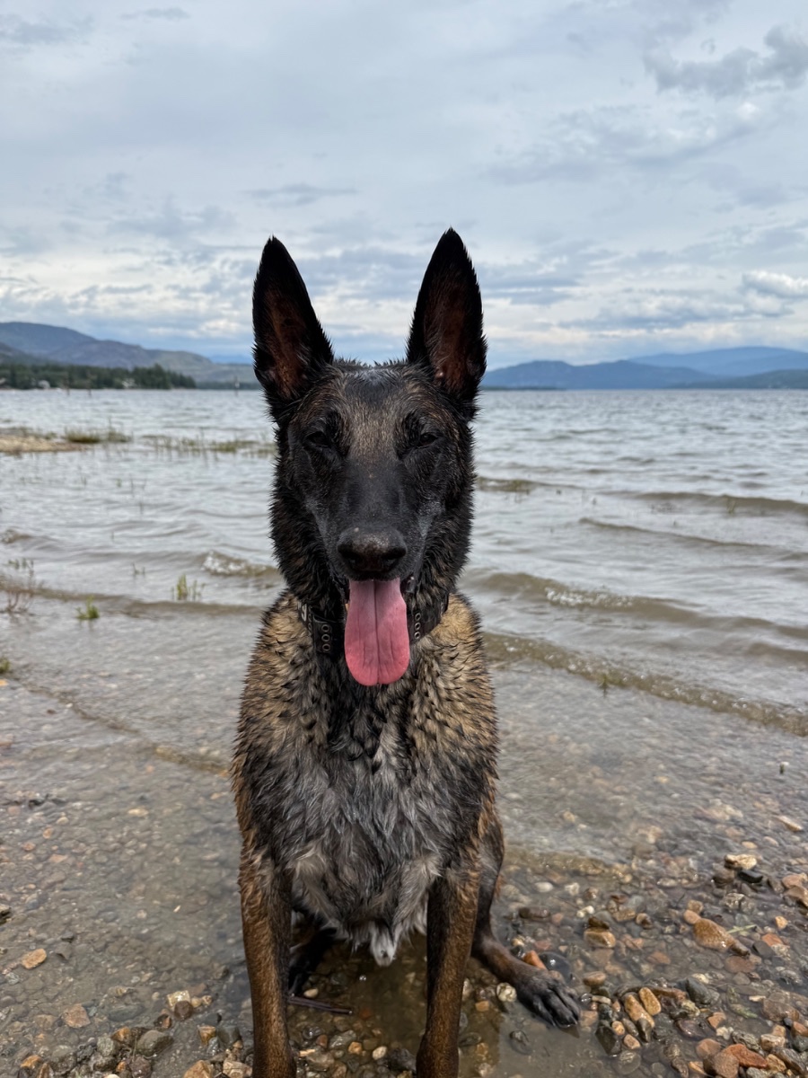 Jax