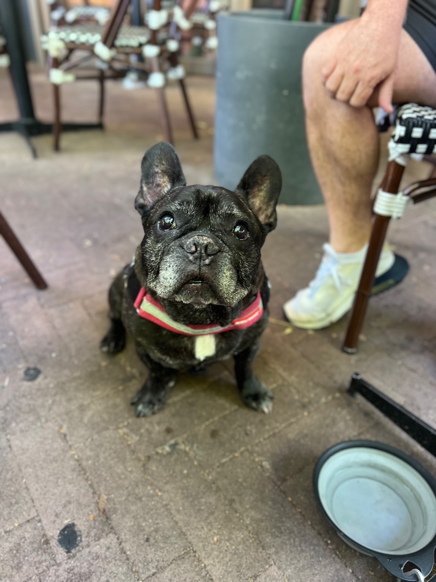 Sammy 