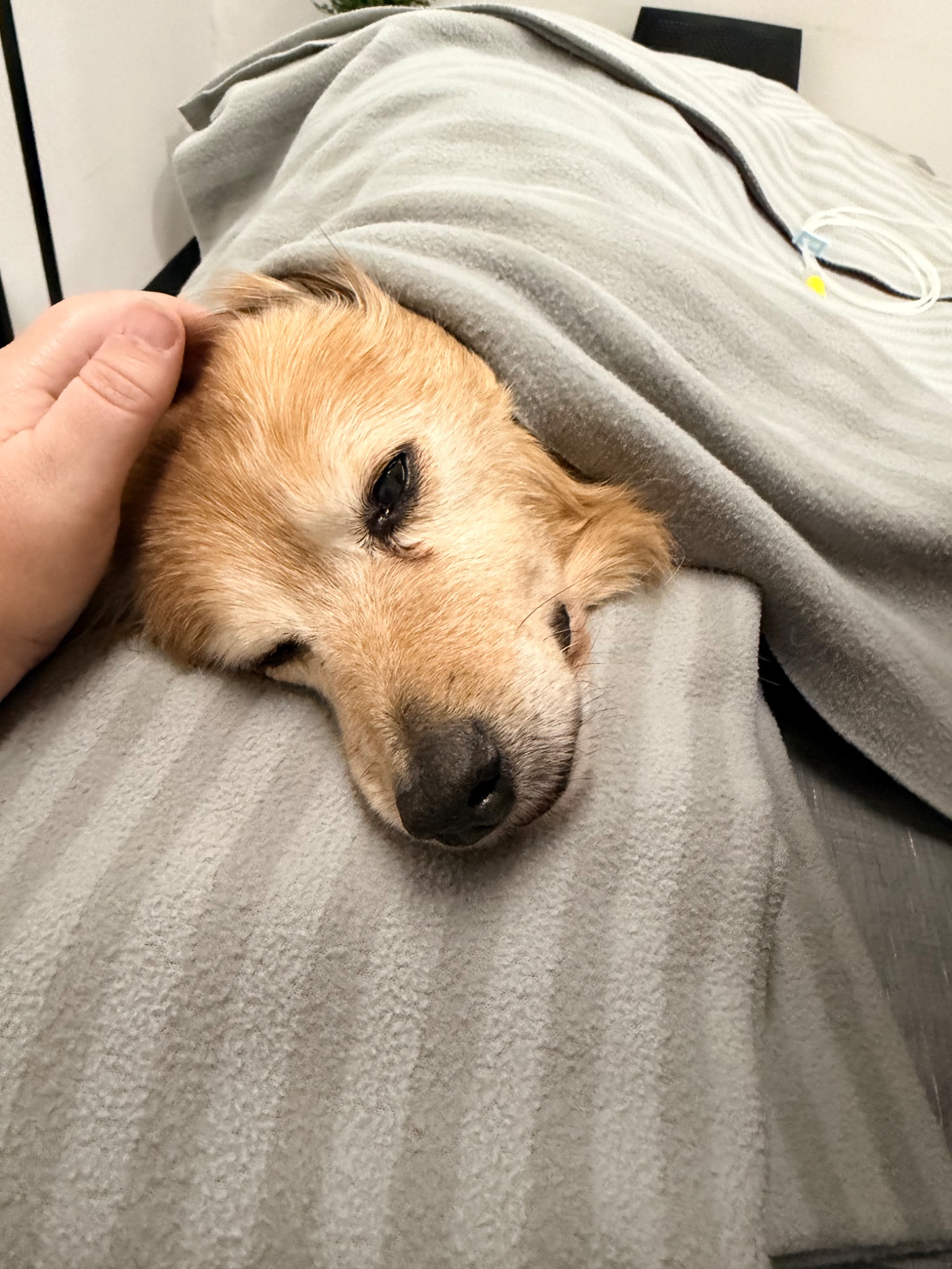 Charlie