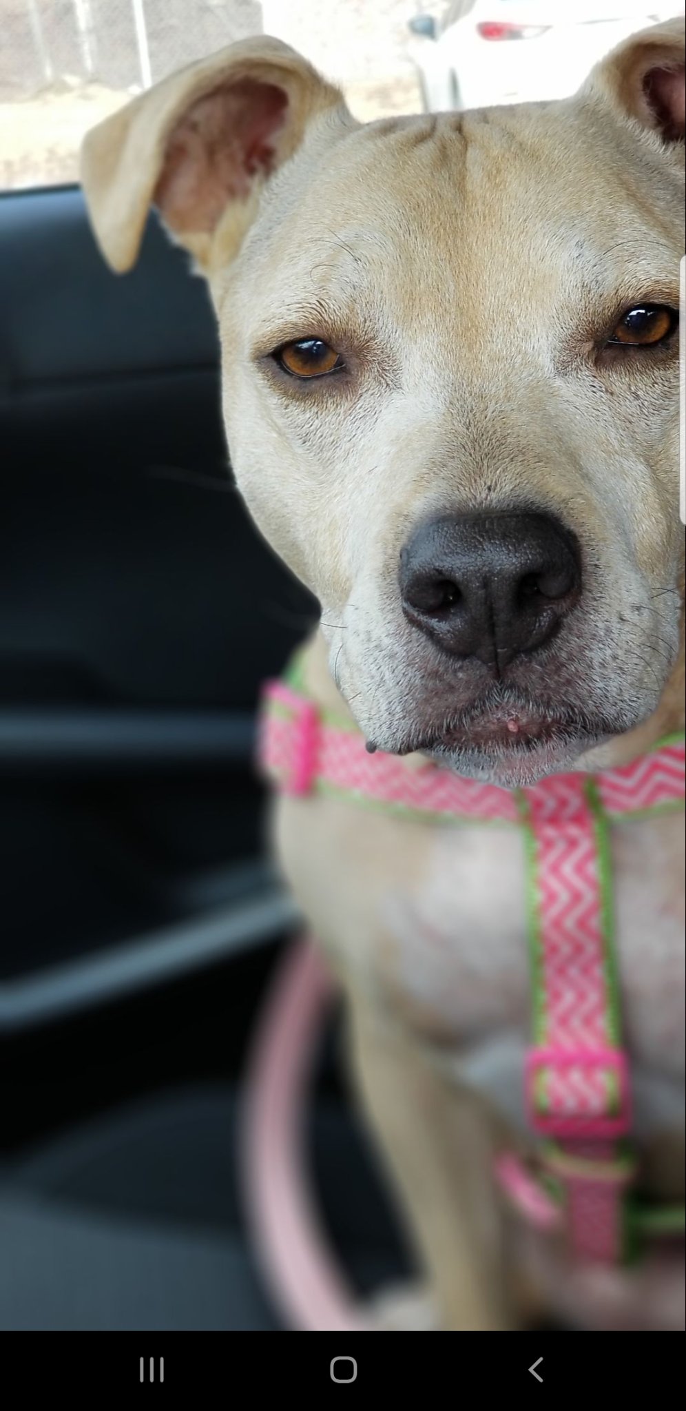 Chloe