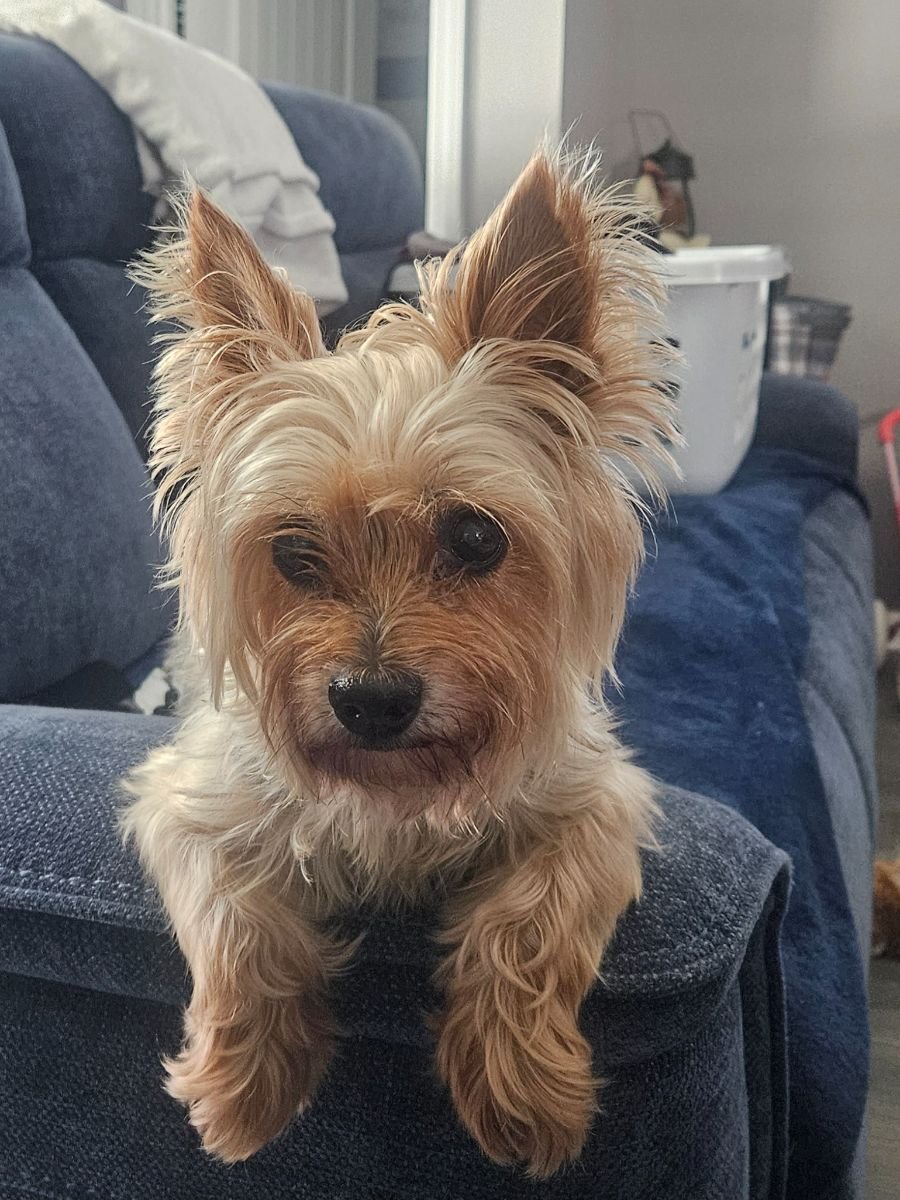 Tinkerbell
