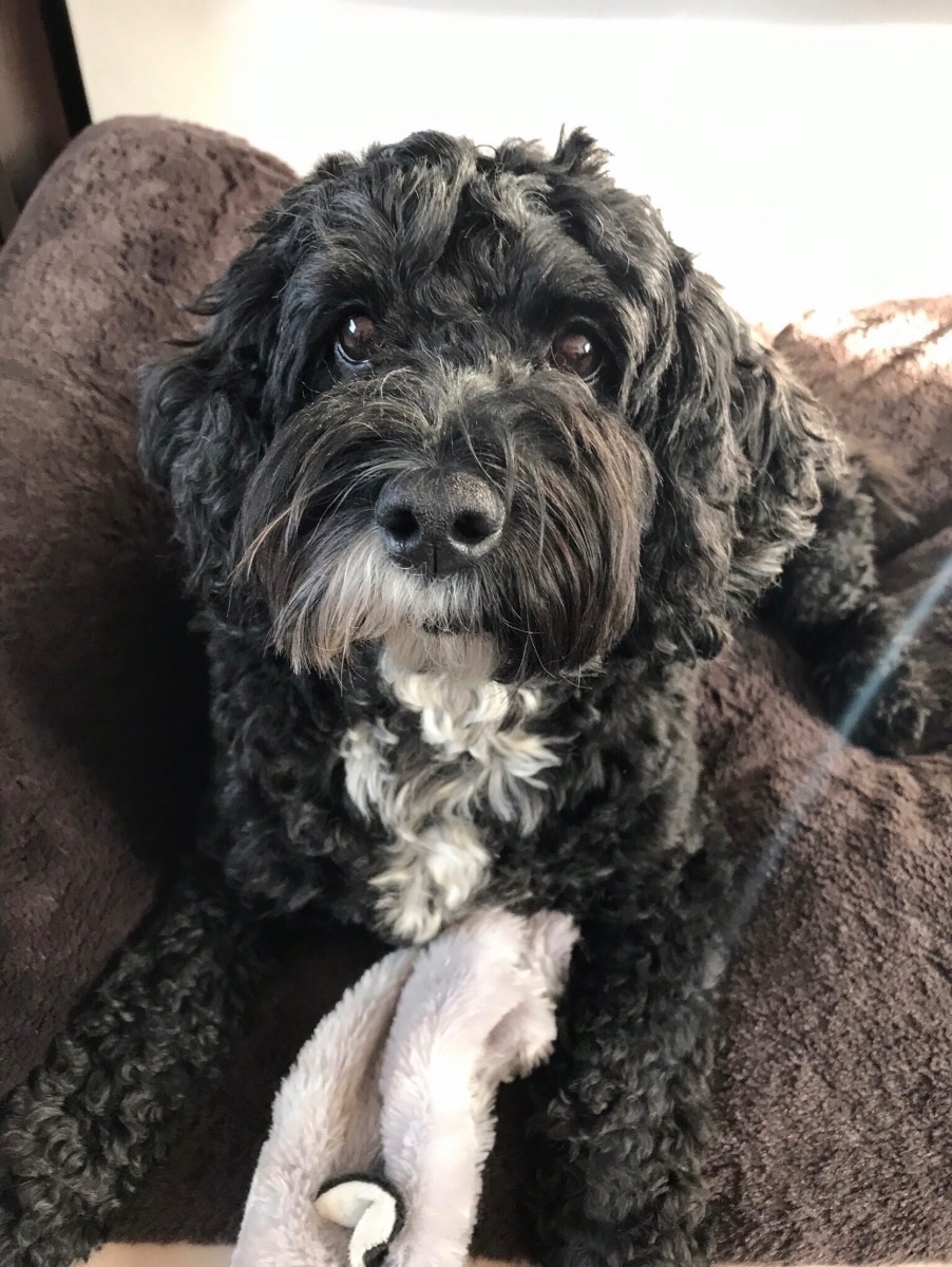 Millie