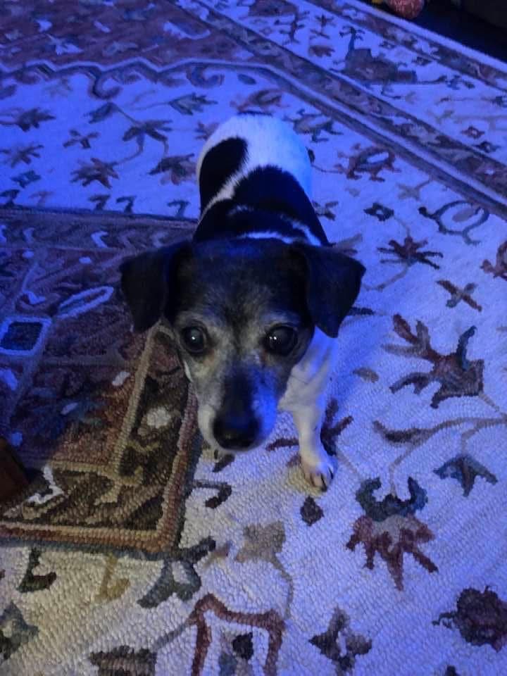 Maddie