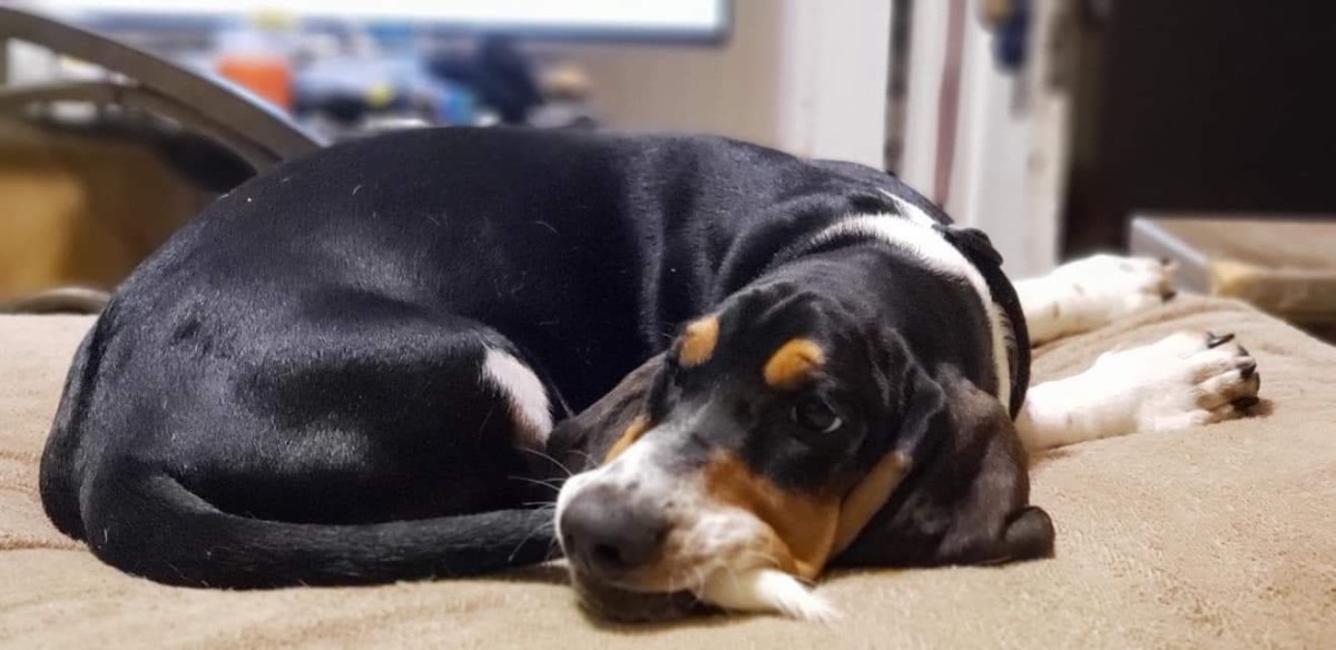 Ernie