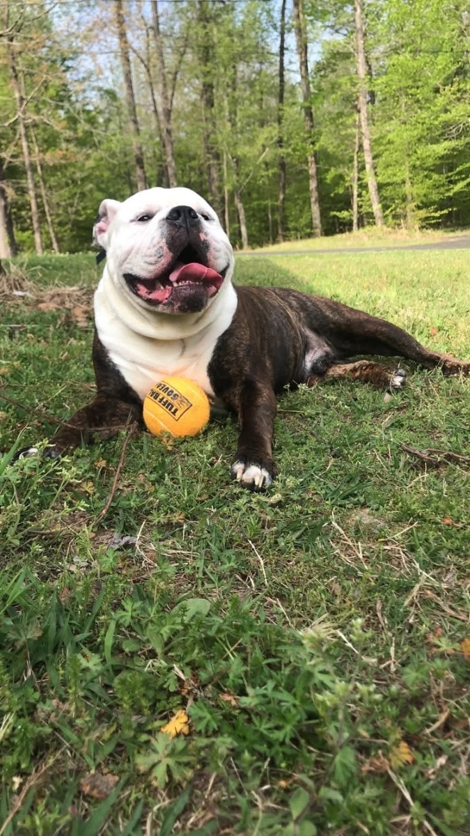 Wesson James