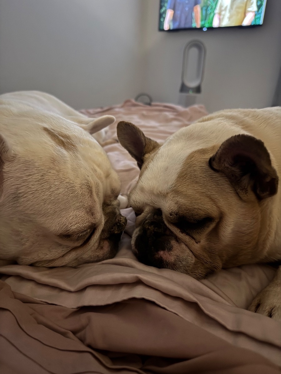 Charlie and Lottie