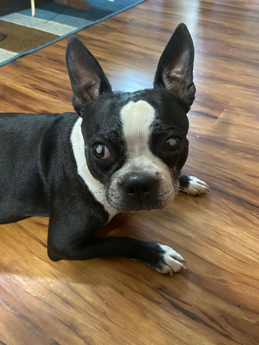 Benny 