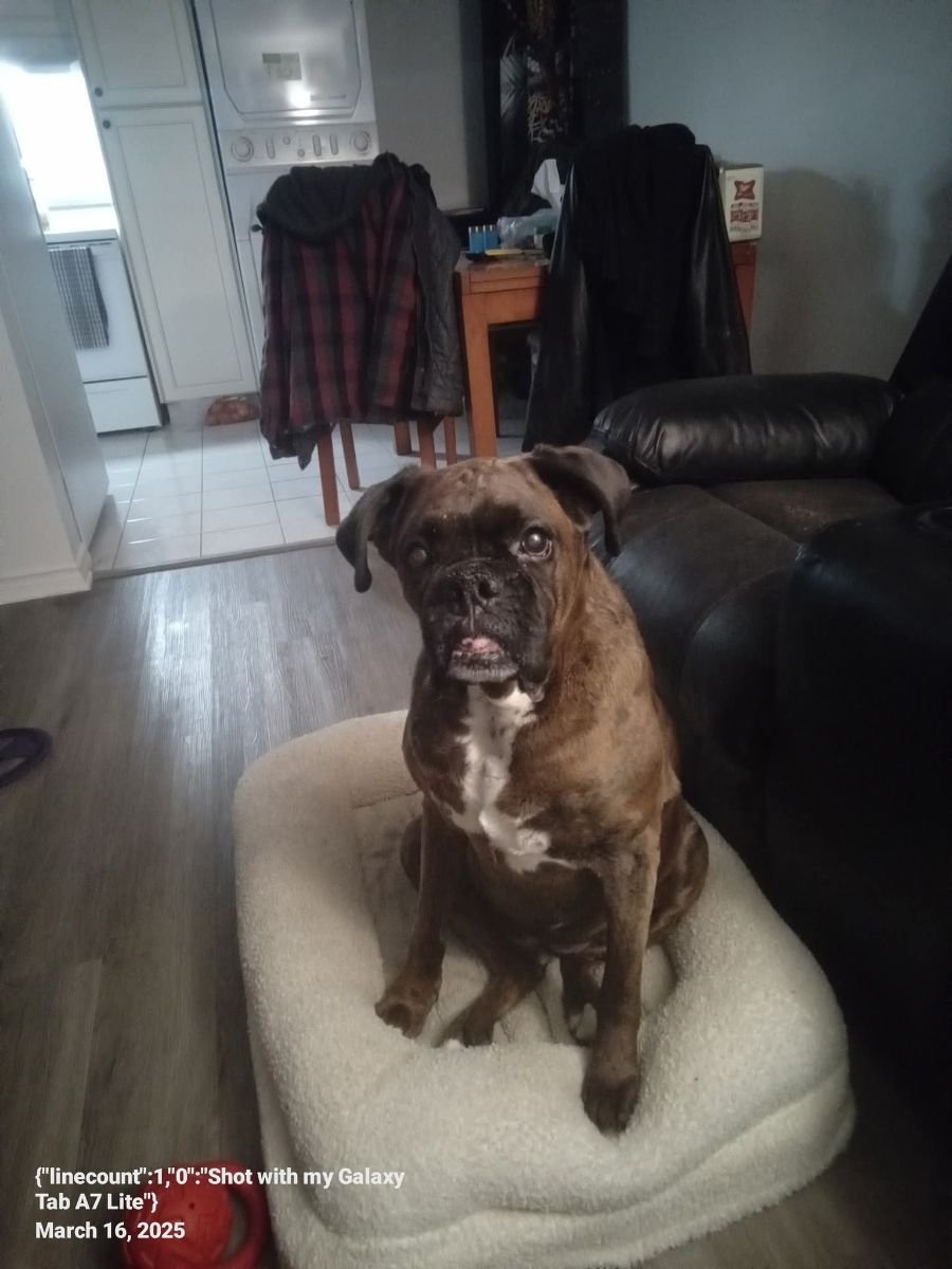 Xena