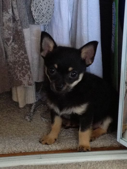 Jack