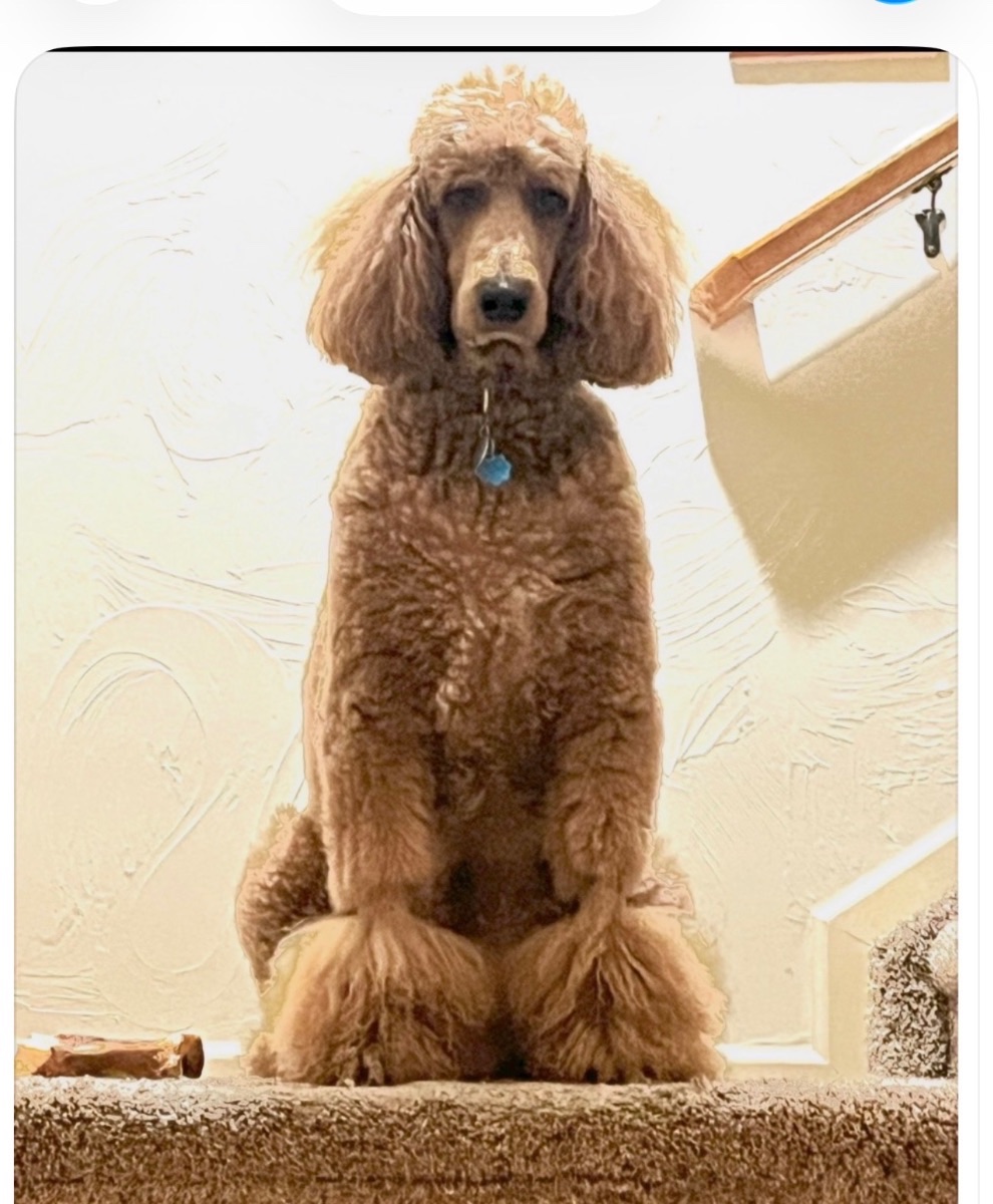 prince