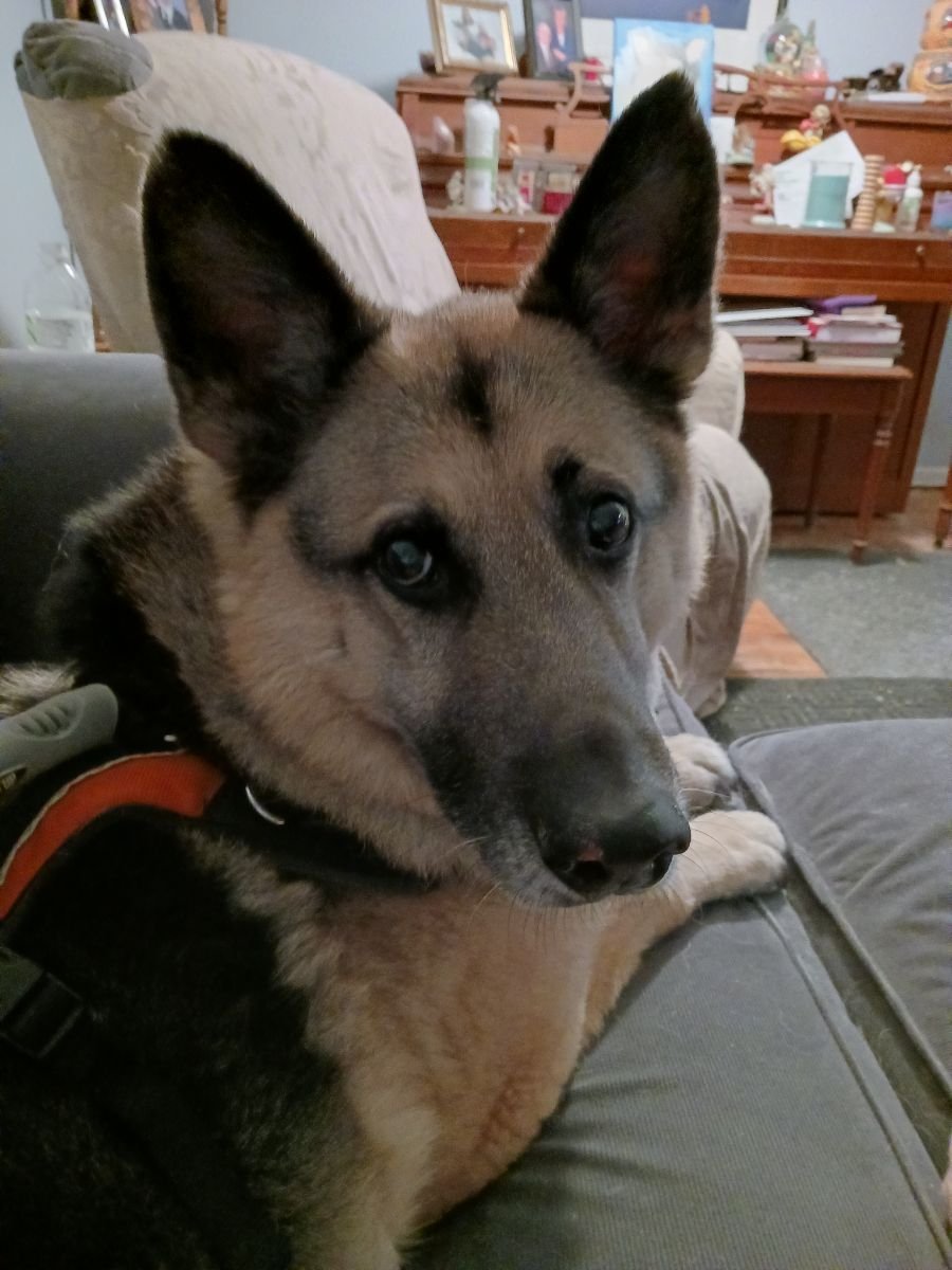 Monty