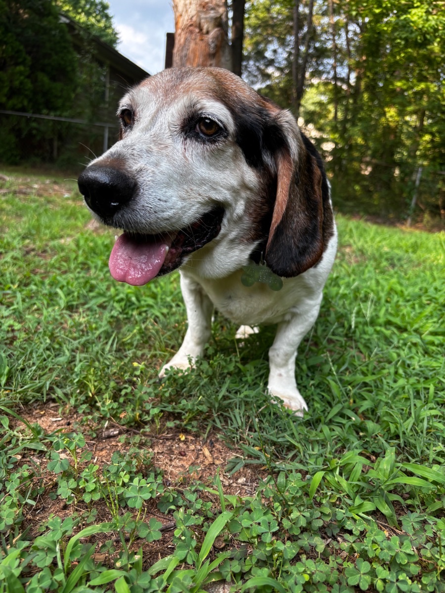 Doc