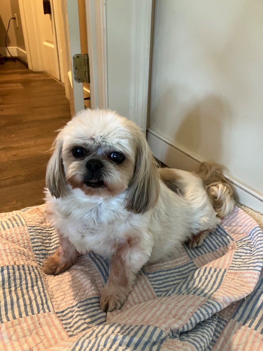 Coco