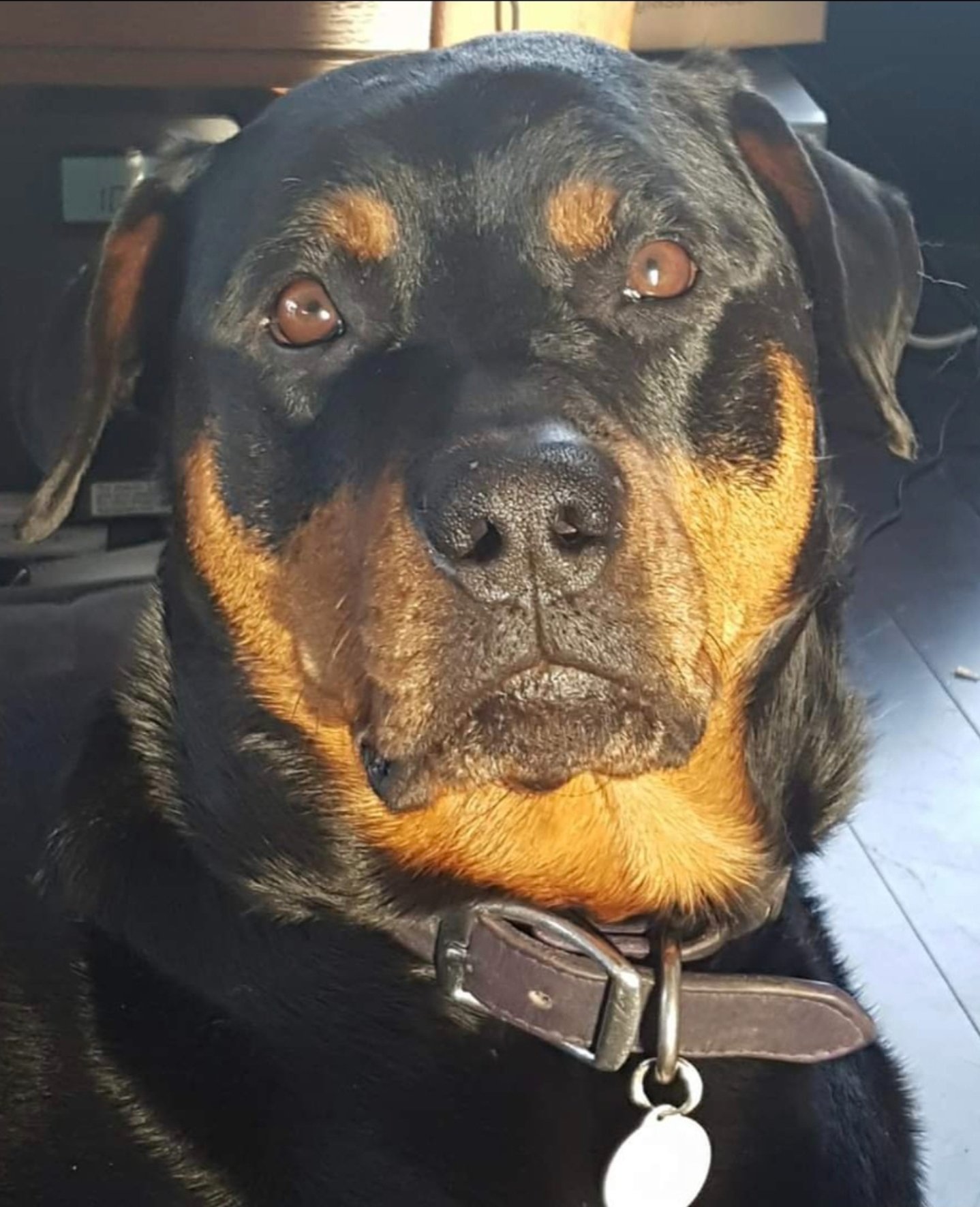 Maddy