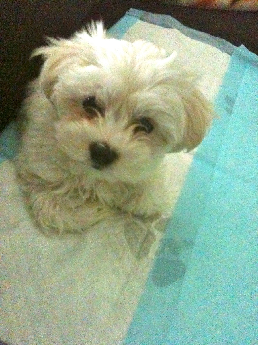 Casper