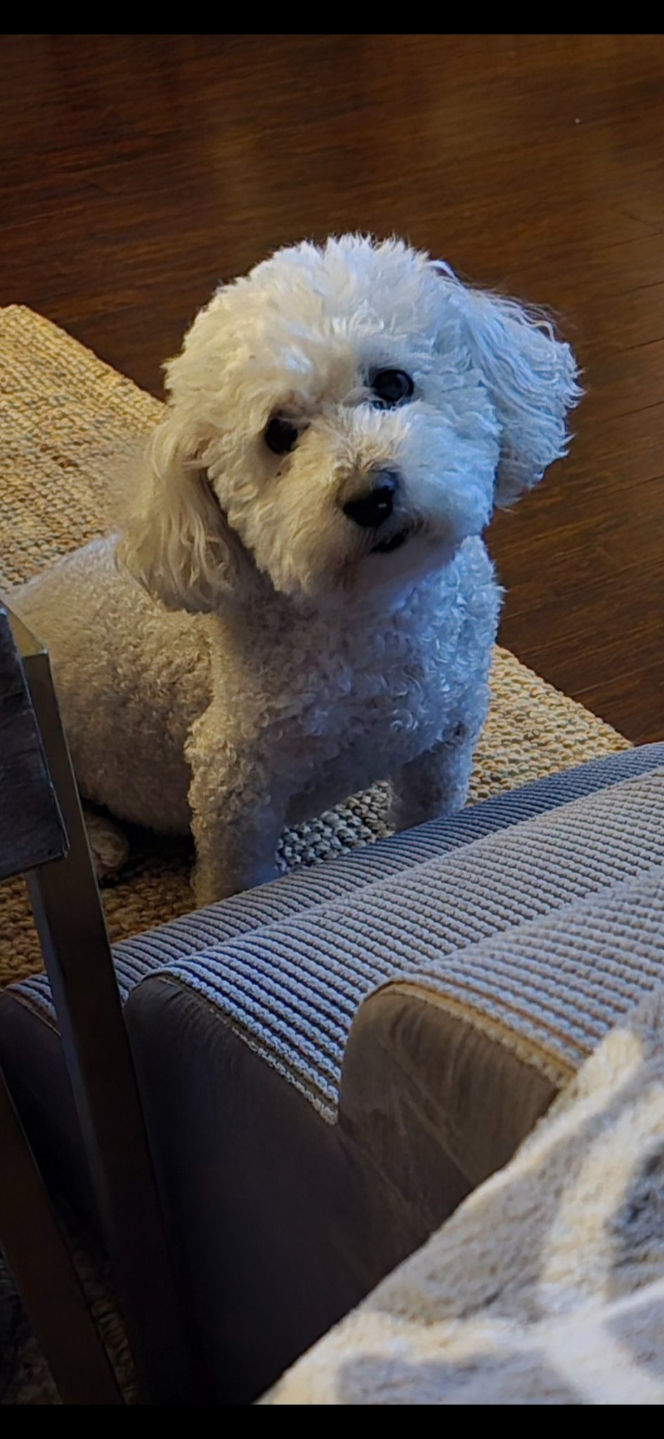 Charlie