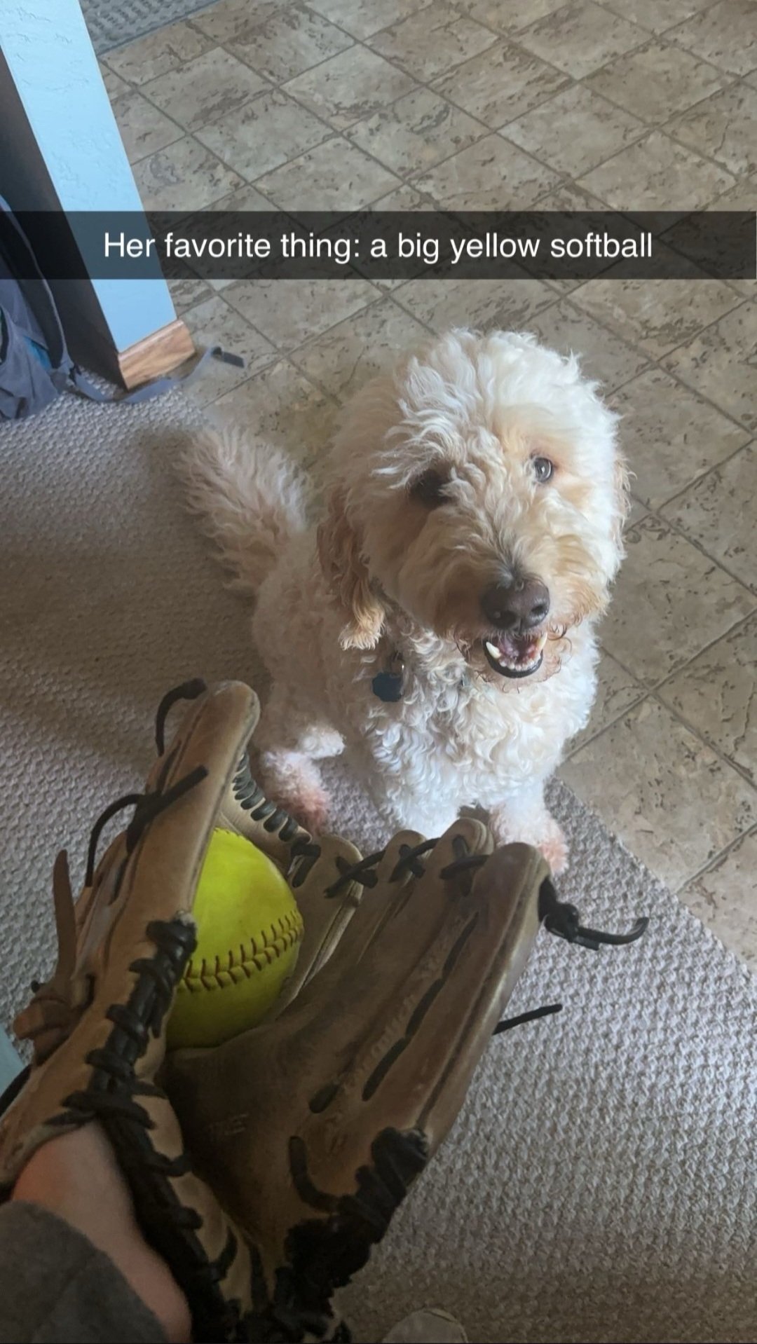 Stella